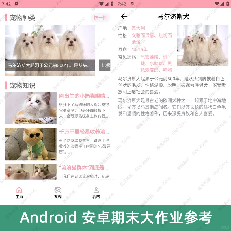 Android安卓宠物之家2024最新App源码+报告