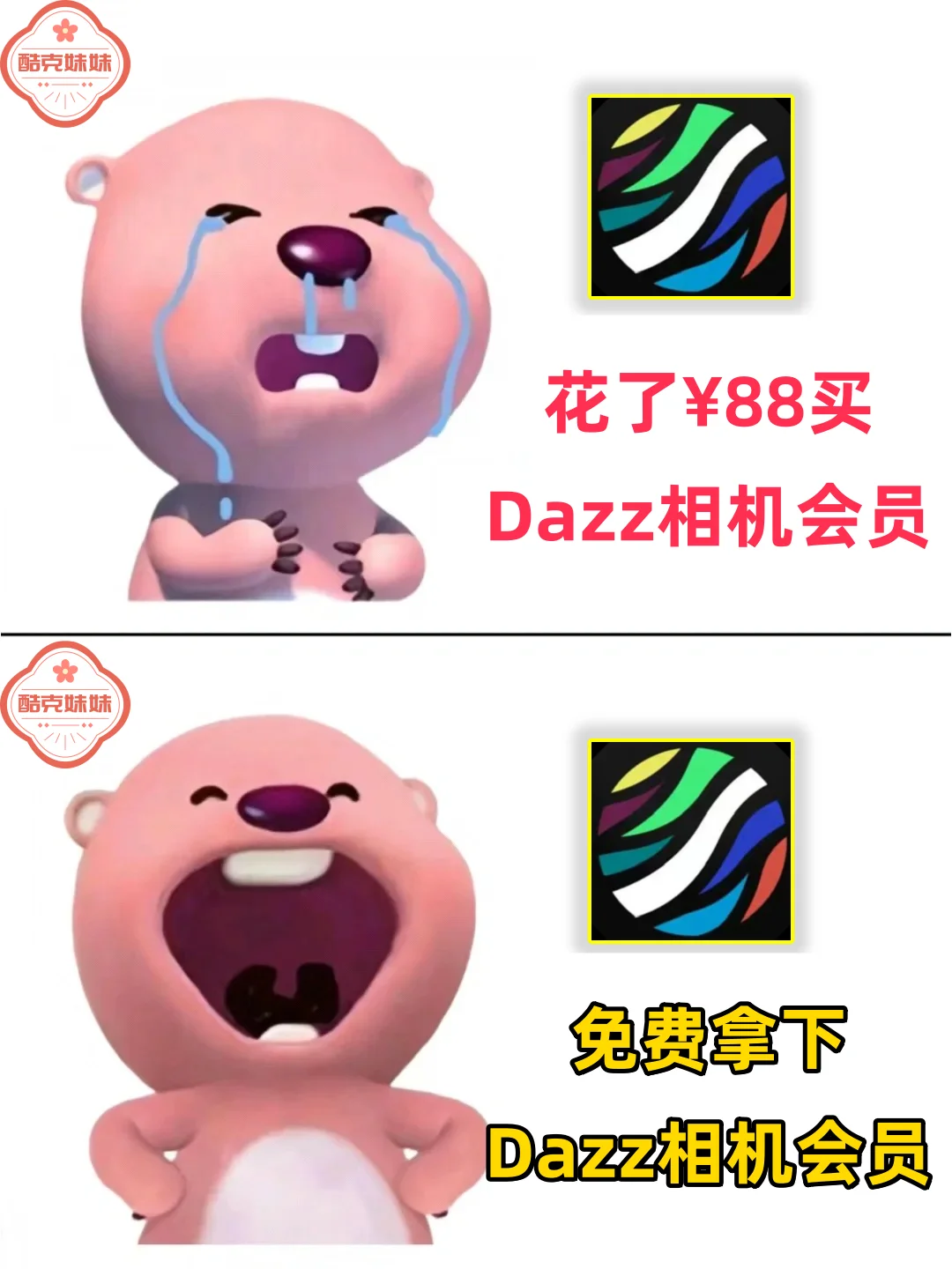 再也不用后悔傻傻花了88开Dazz会员了！