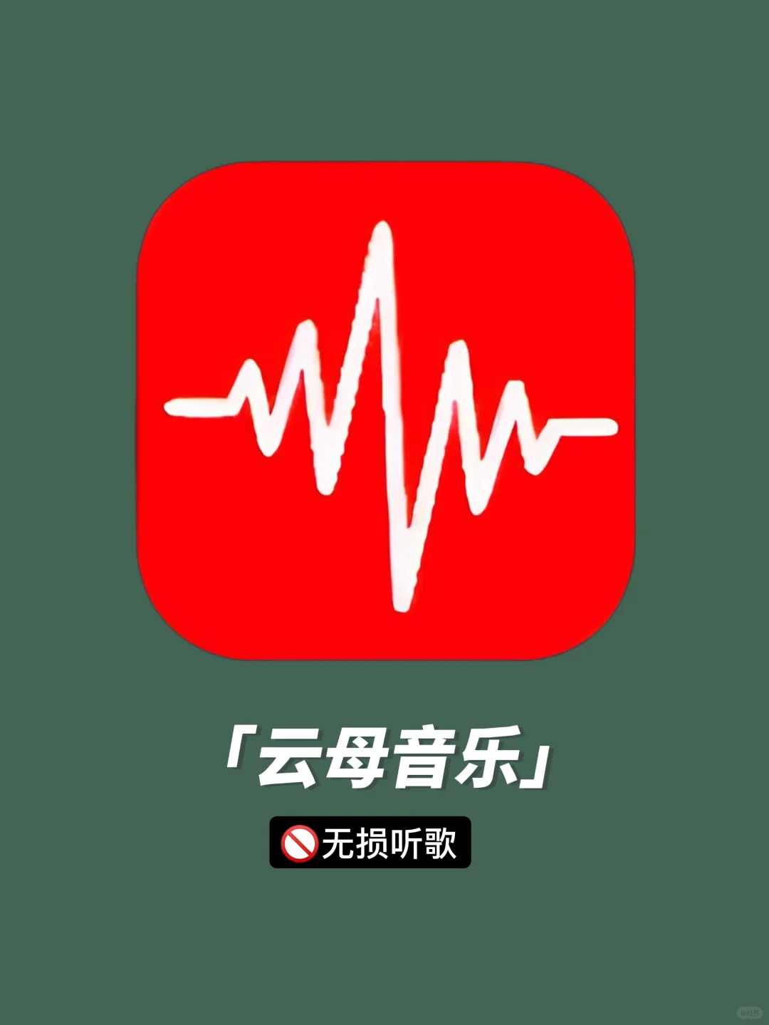 还有谁听歌开会员🔥 免费无损音乐畅听❗