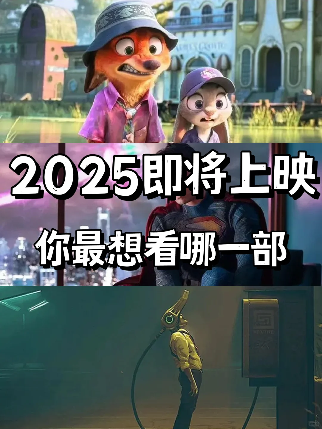 2025即将上映电影，你最想看哪一部？