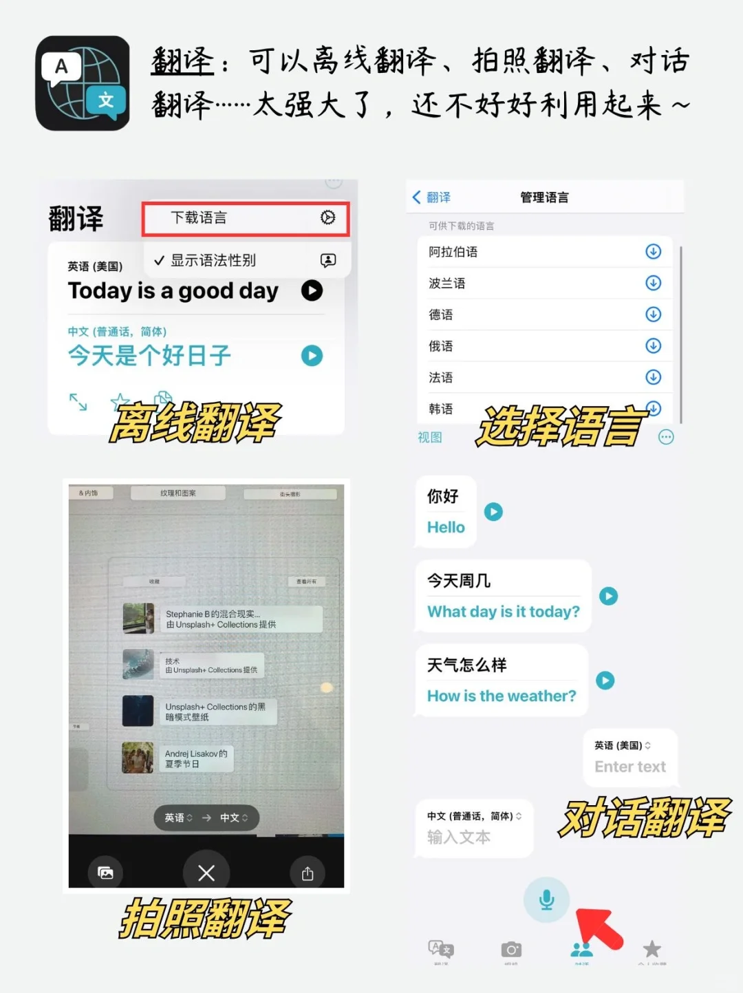 iphone 6款自带软件千万别删❗️| 好用到哭