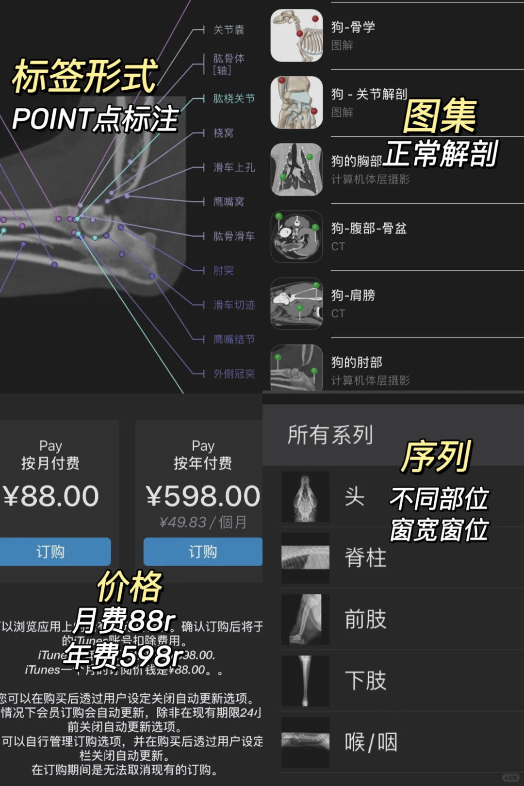 兽医影像学习软件二选一