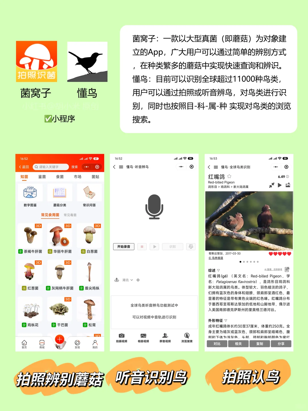 💯为什么你这么会玩？户外必备的21个App