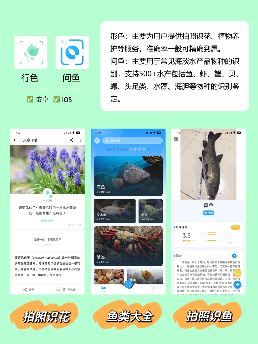 💯为什么你这么会玩？户外必备的21个App