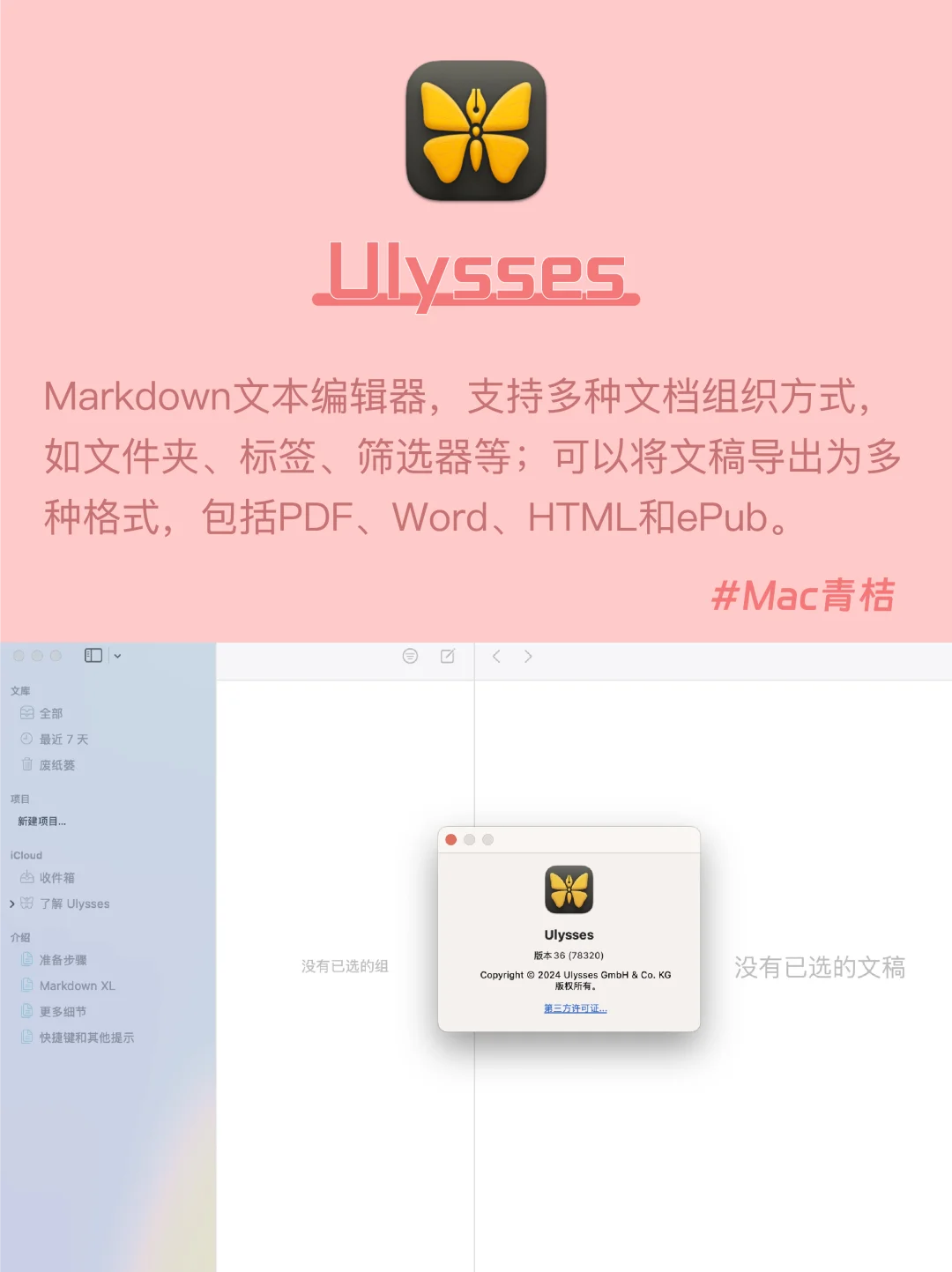 Mac电脑｜写作软件💻总有一款适合你‼️