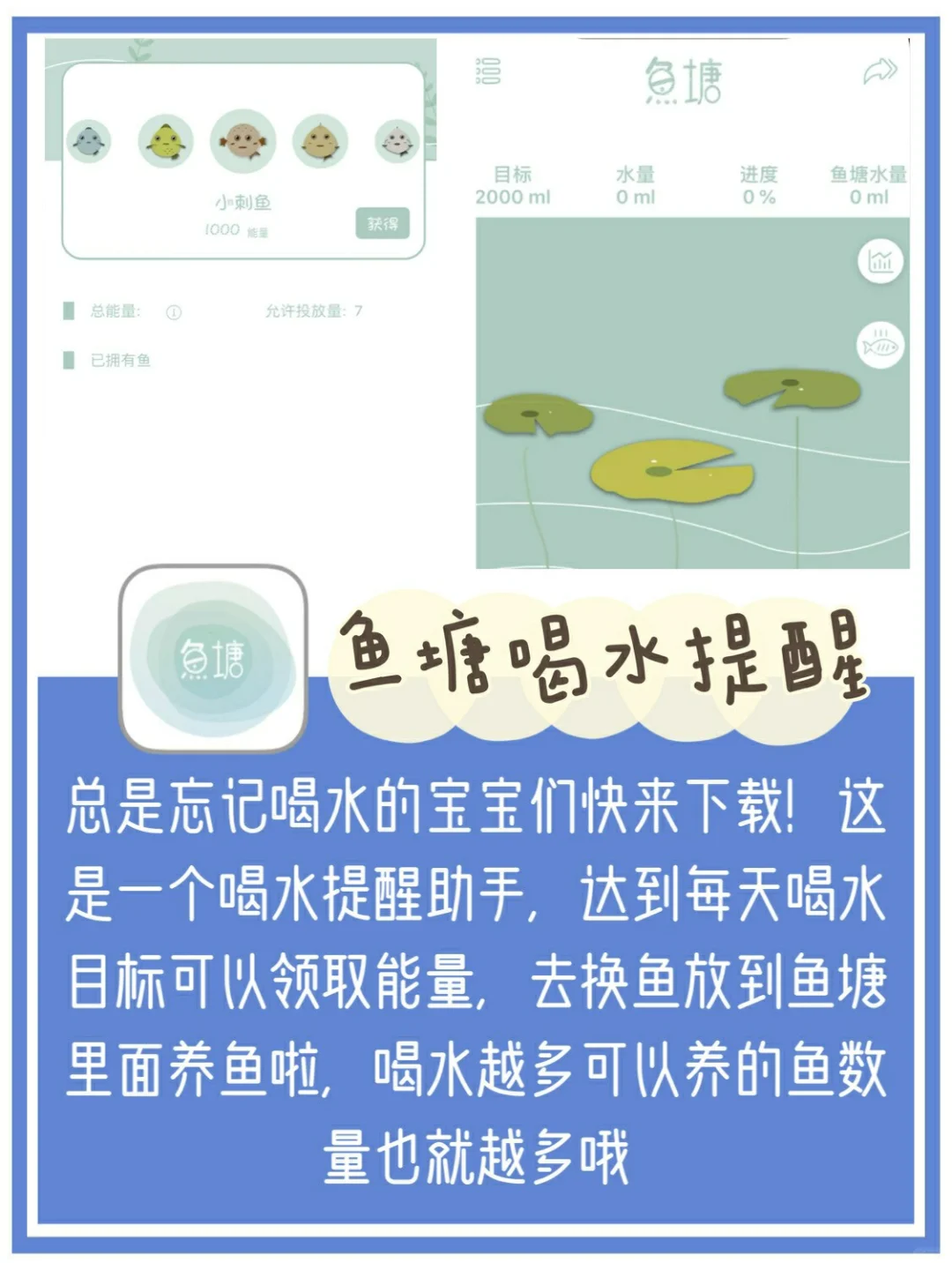 你一定要下载的小众实用APP