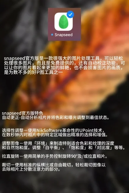 专业摄影师都在用的手机app｜后期篇