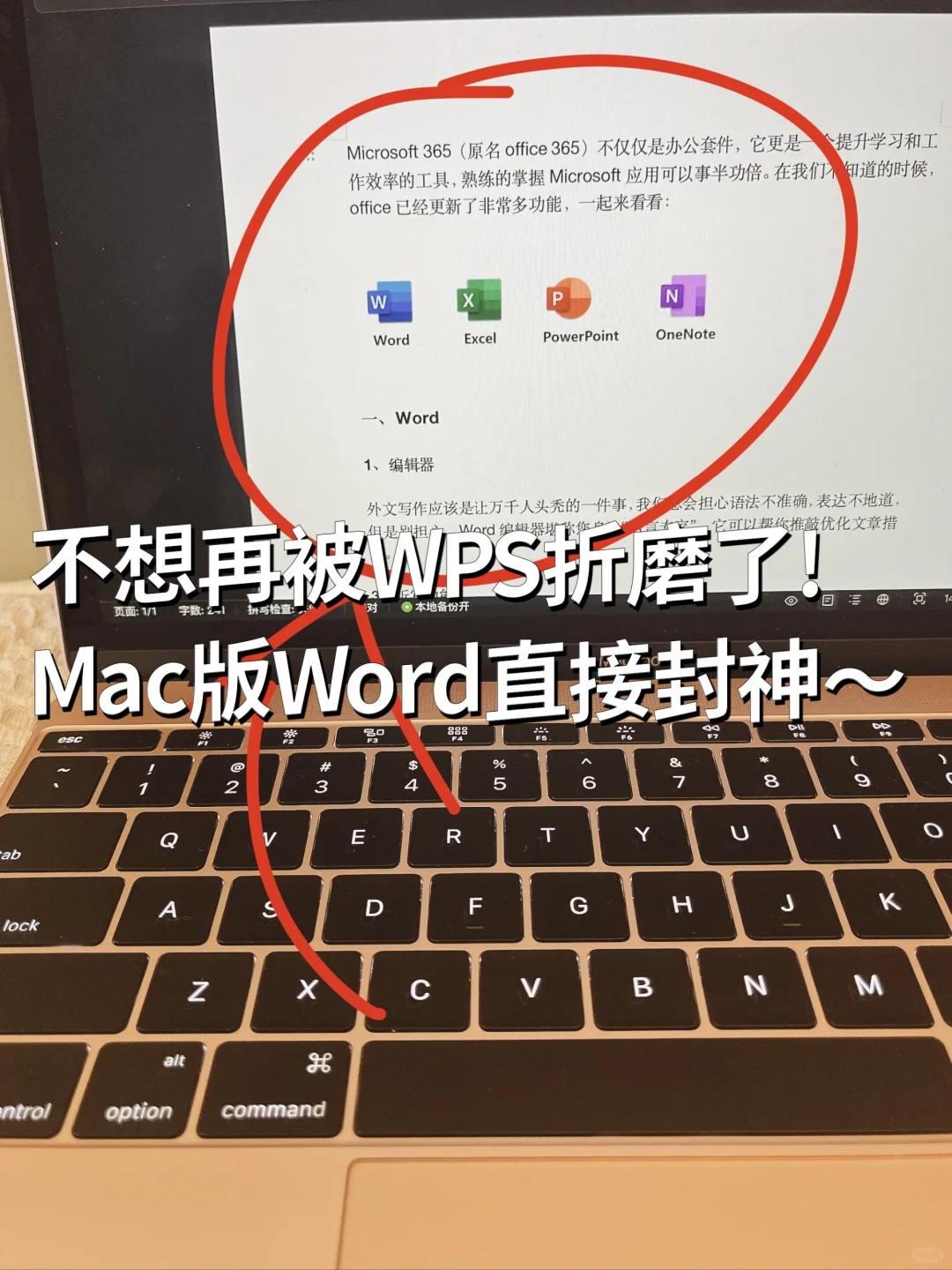 我不准你还不知道MAC上这比WPS好用太多