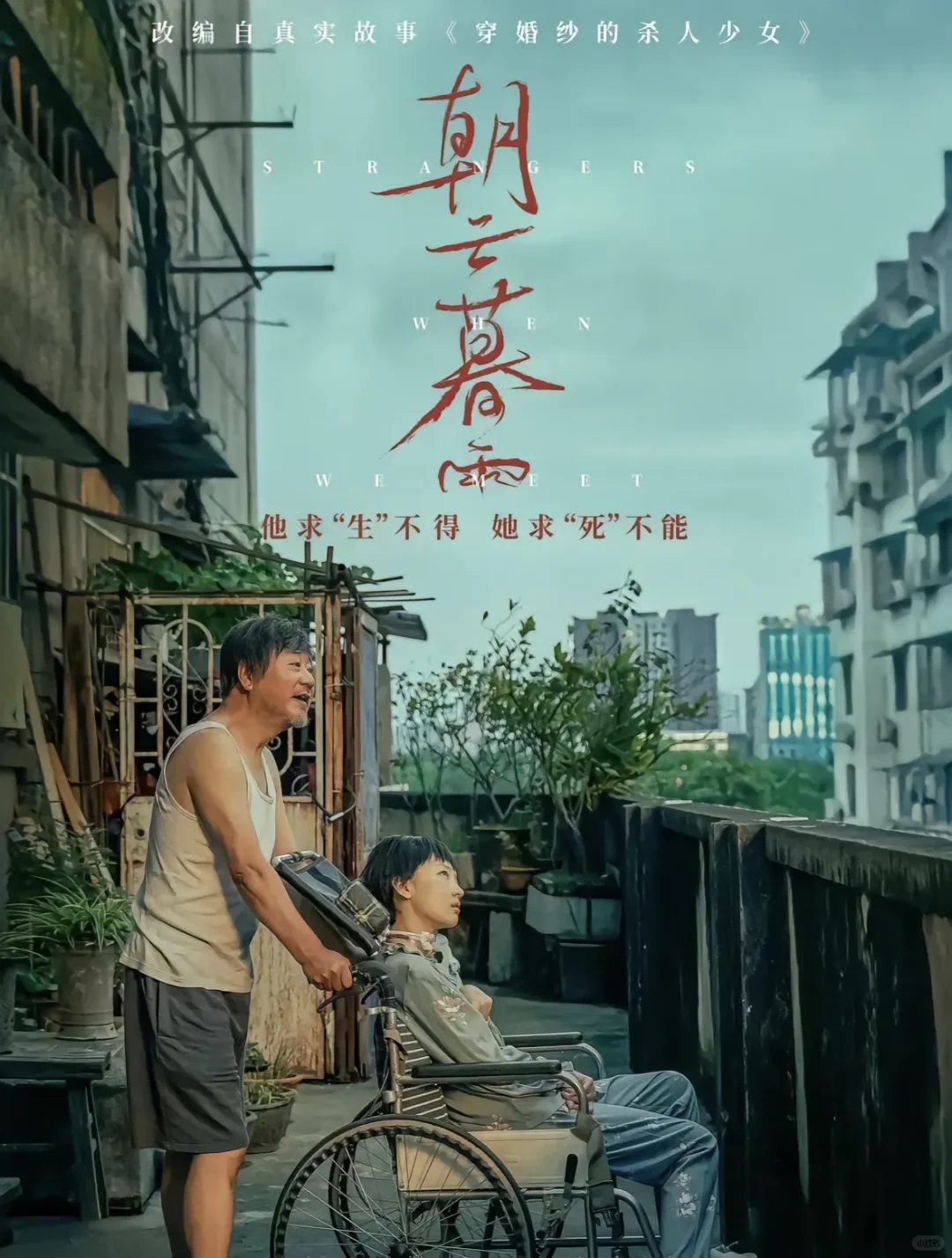 17部超级好看的电影🎬