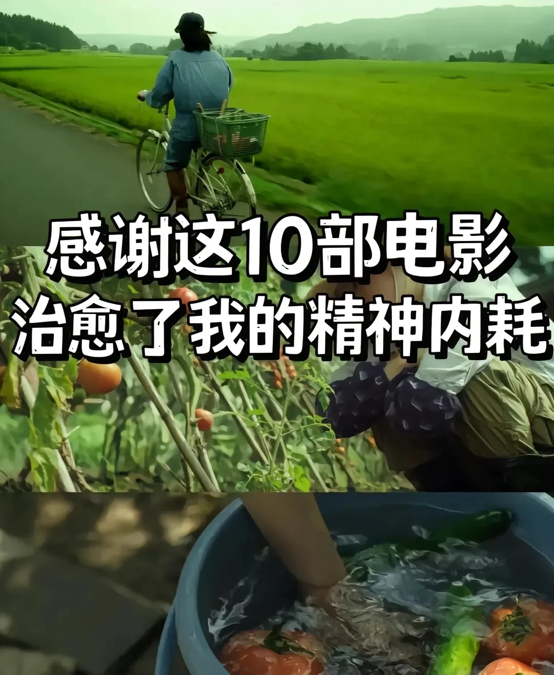 🎬 治愈精神内耗的10部高分电影推荐 🌟