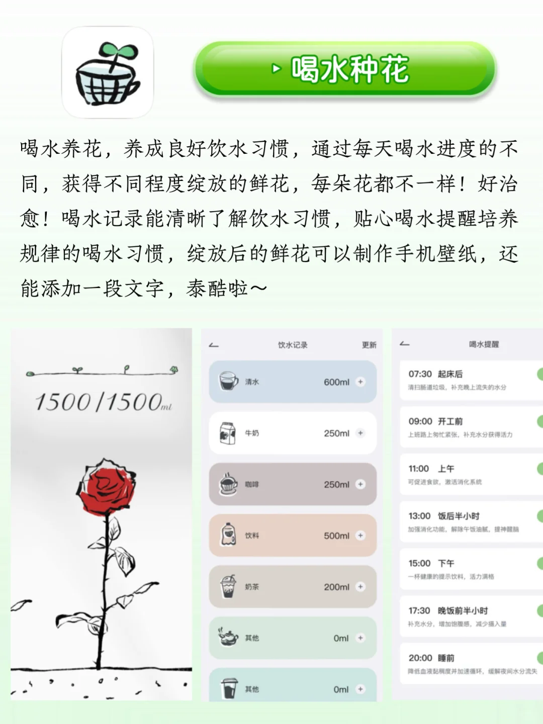 i人狂喜的治愈APP‼️向内而行充电必备