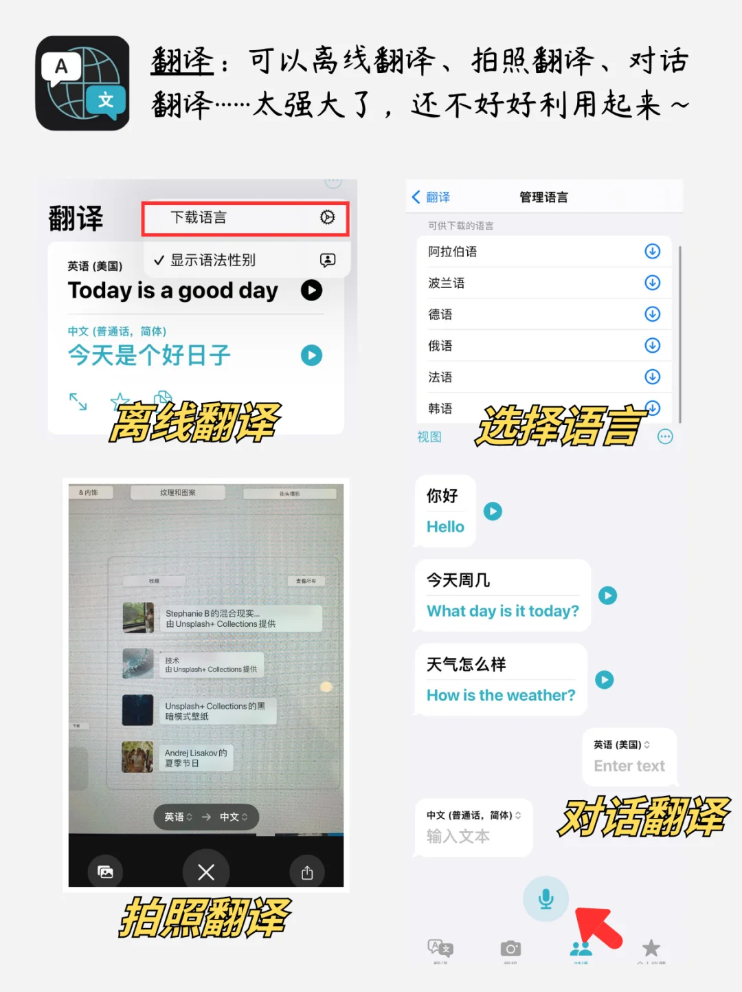 iphone 6款自带软件千万别删❗️| 好用到哭😭