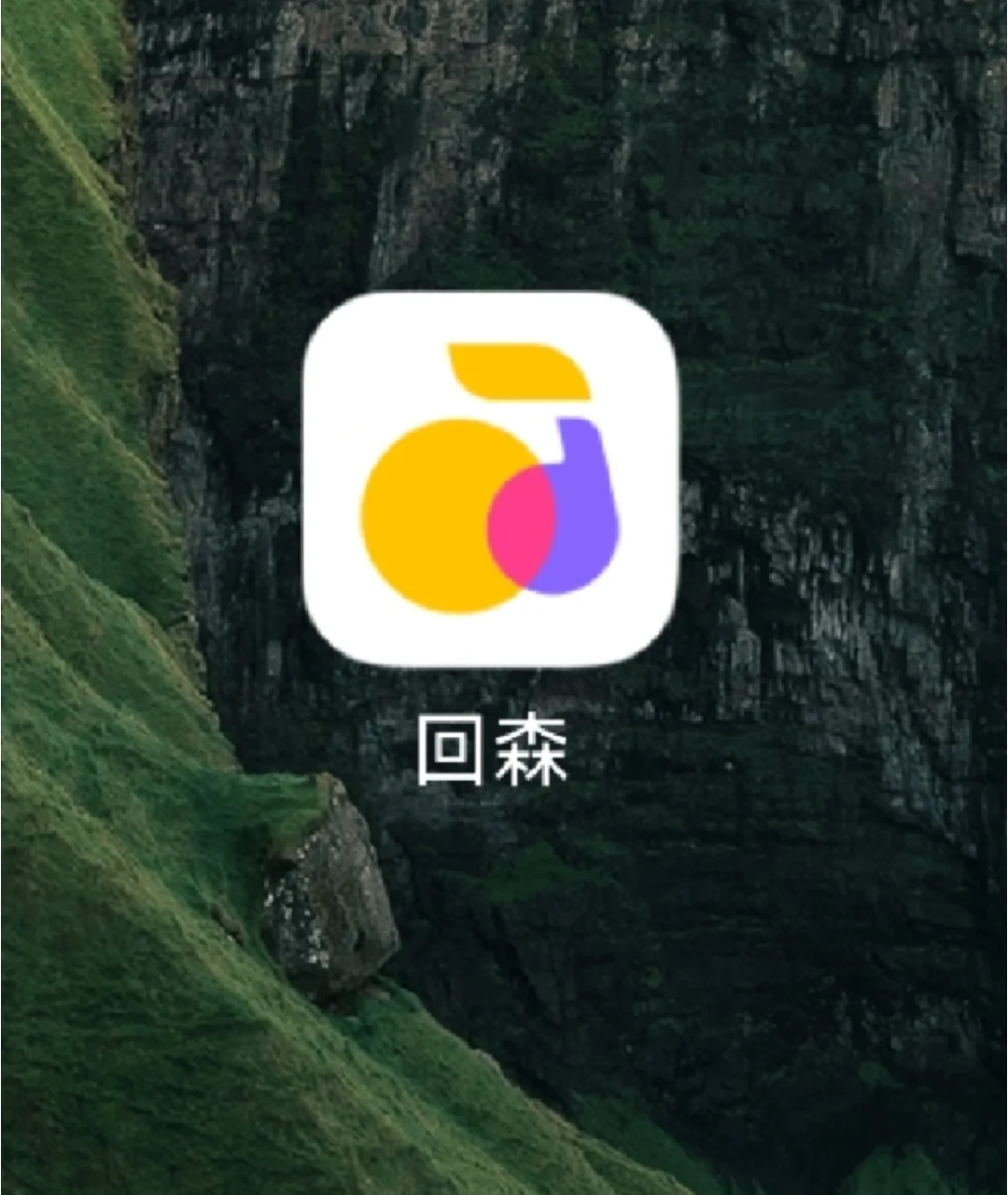 音乐唱歌APP，回森，测评