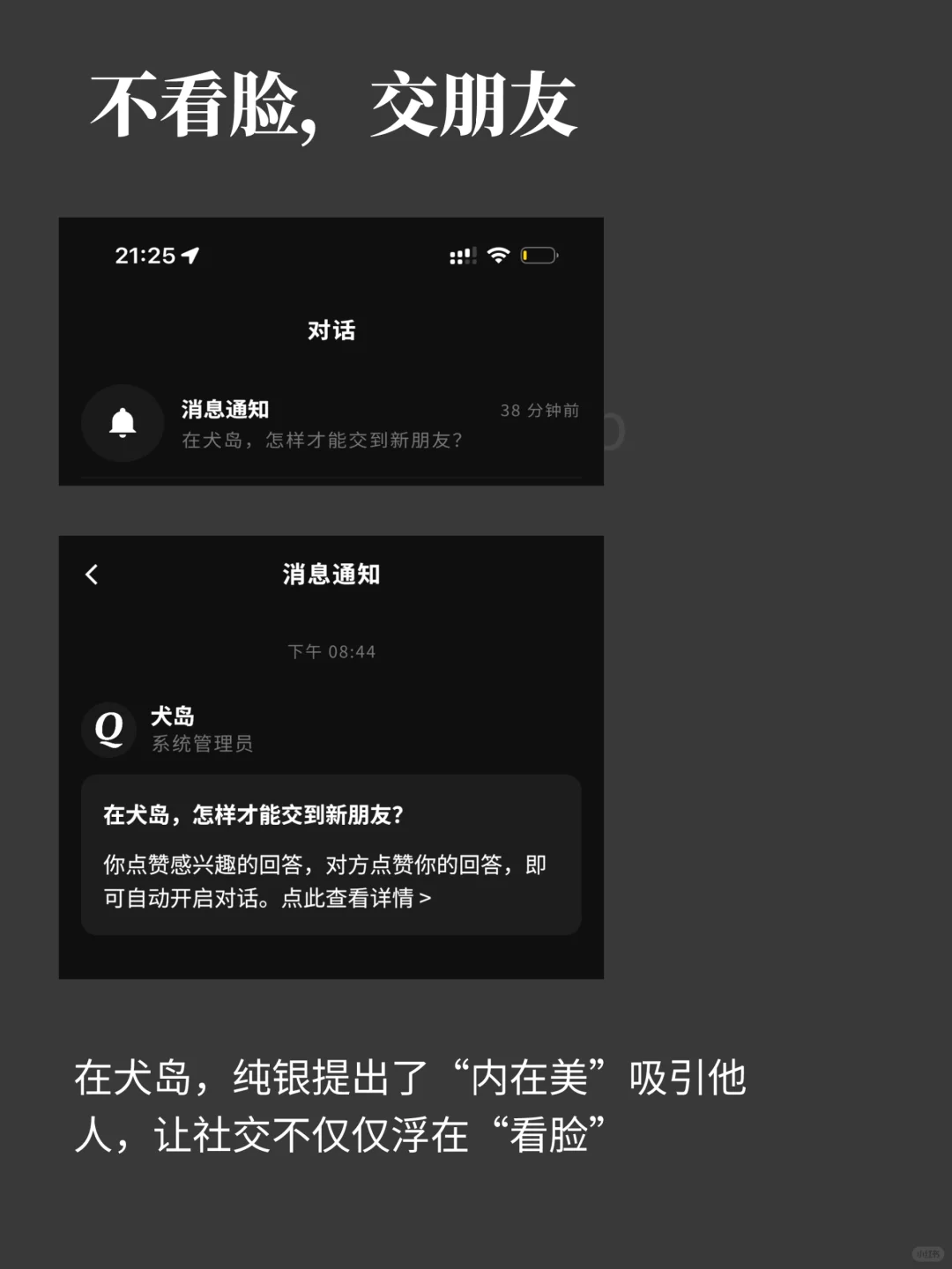 这款不看脸的社交App：犬岛，有什么不同？