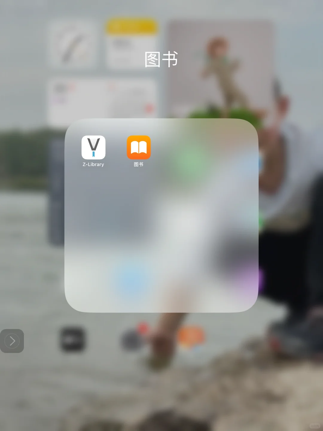 Z library 终于有了App