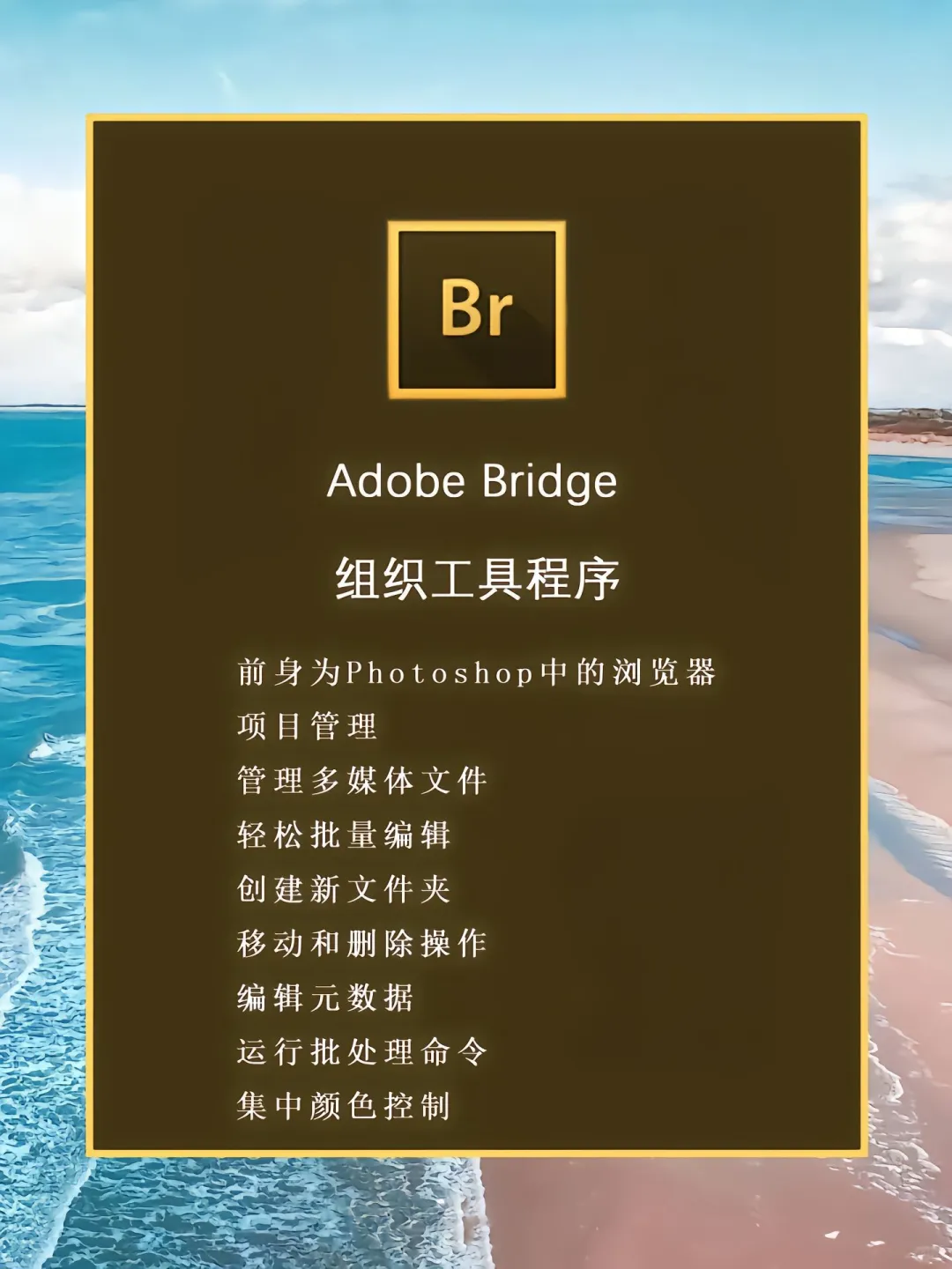 Adobe全家桶2025一键安装版，无需激活！