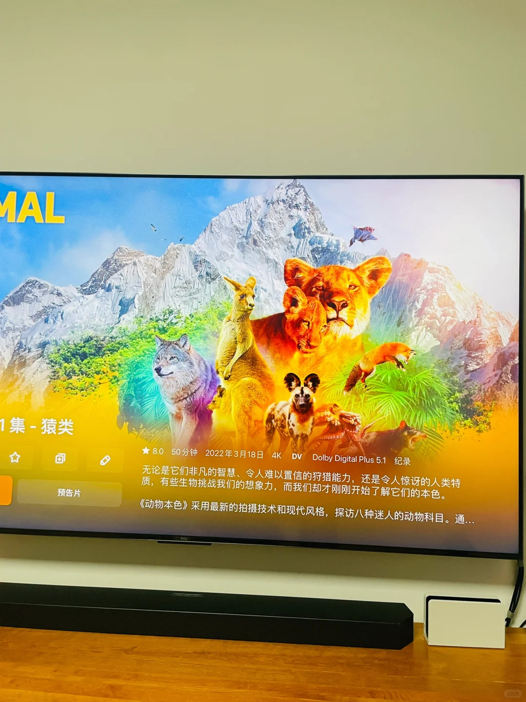 终于搞清楚 Apple TV 配置