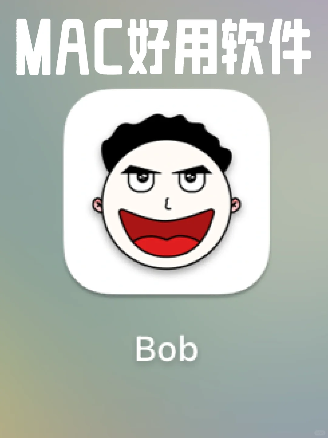 Mac软件推荐 ｜Bob（纯自用）