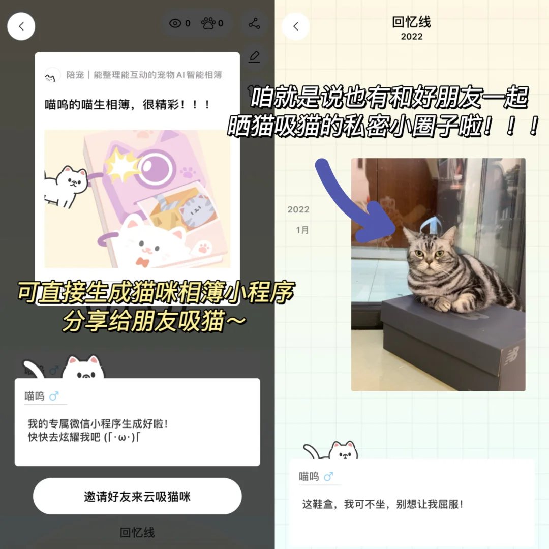 陪宠💭猫咪小窝！是谁还不知道这个捏猫app！