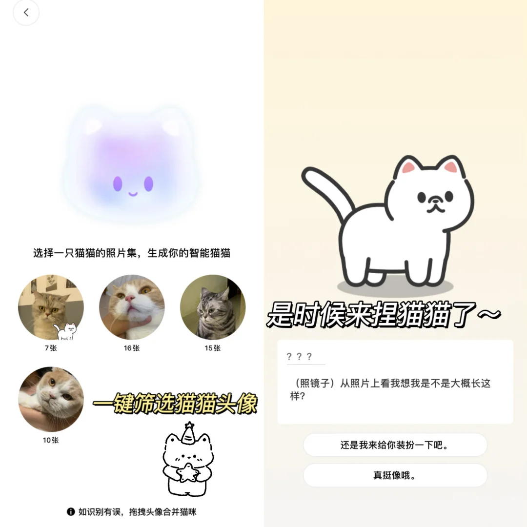 陪宠💭猫咪小窝！是谁还不知道这个捏猫app！