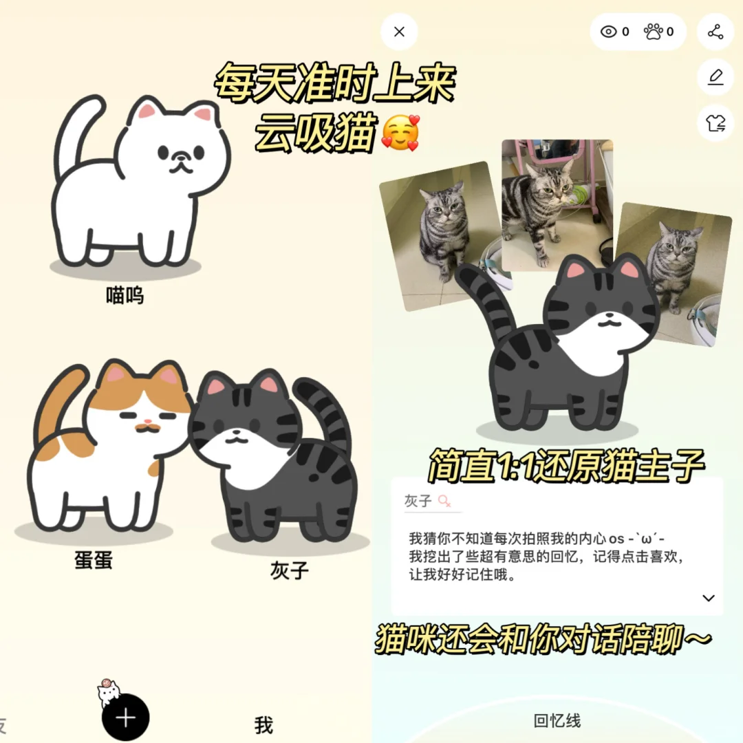 陪宠💭猫咪小窝！是谁还不知道这个捏猫app！