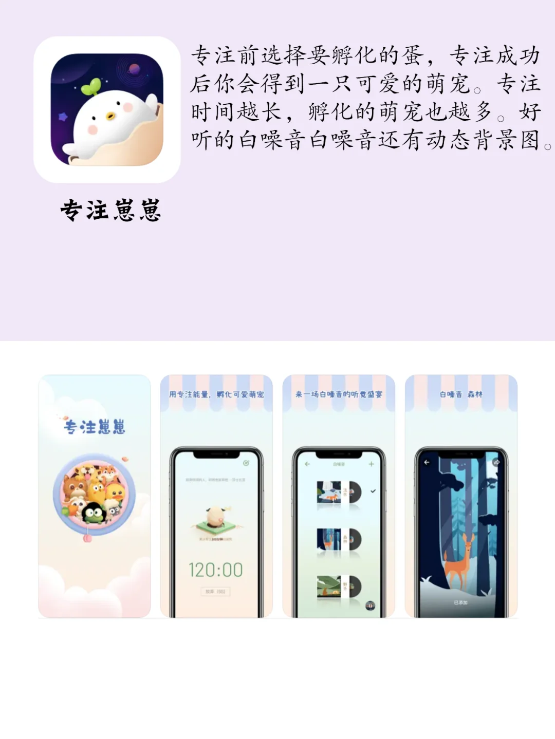 看似平平无奇打开不就想关的小众宝藏app