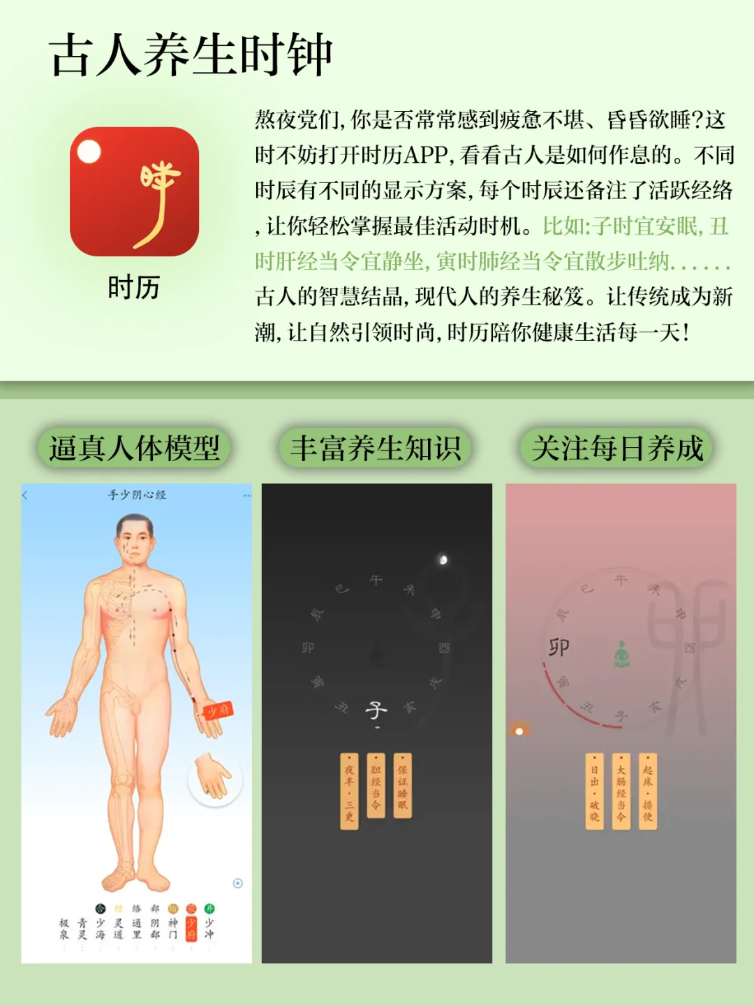 熬夜党必备的养生神器👍🏻边养生边肝‼️爽飞