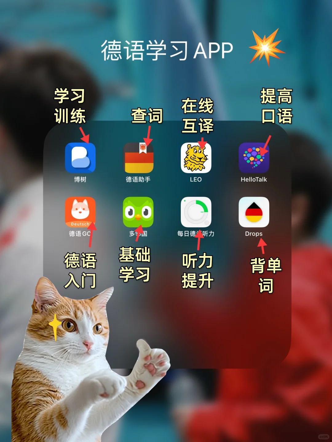 德语神器💖APP