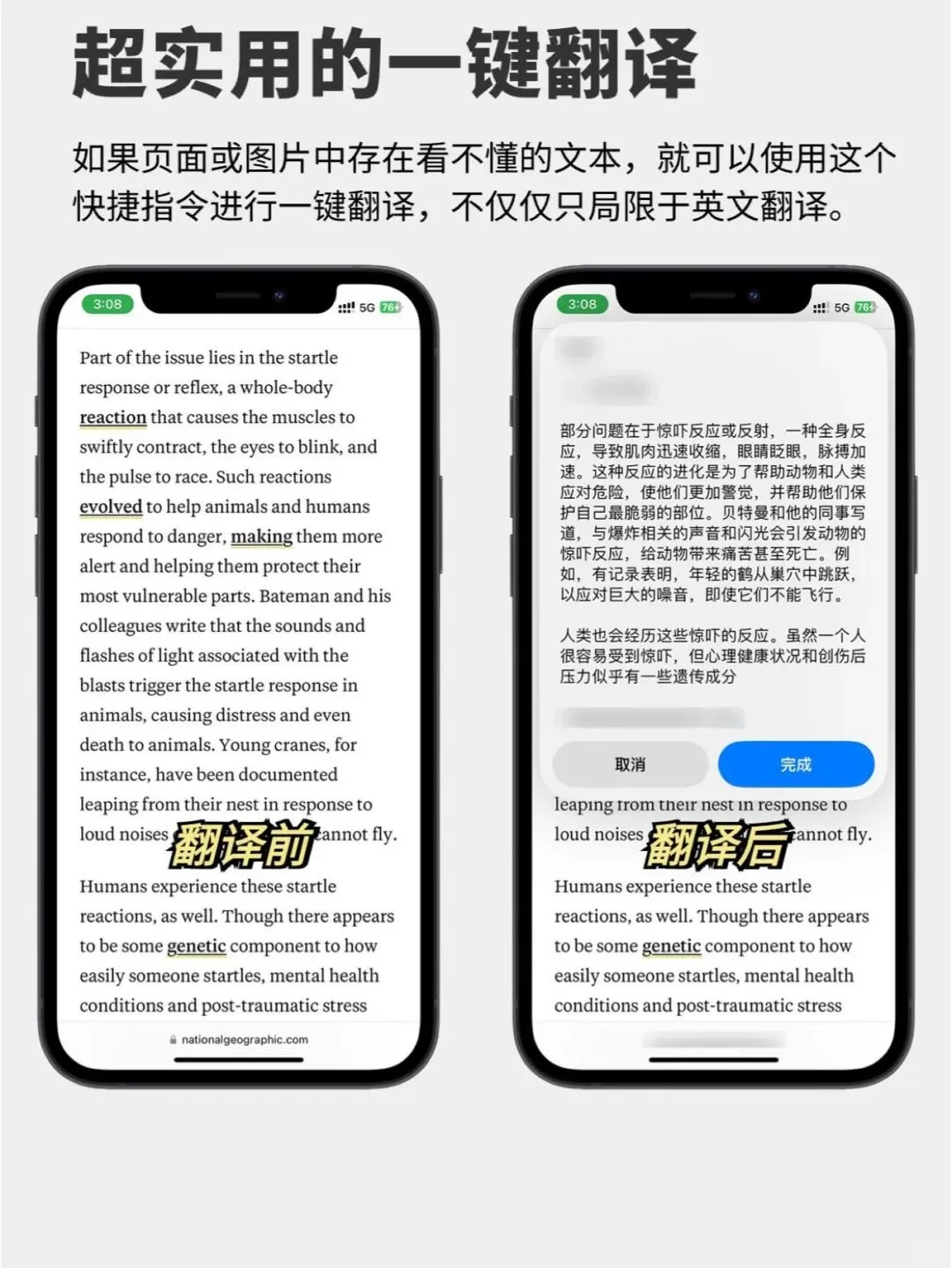 iPhone 自带神仙翻译软件，你会用吗？