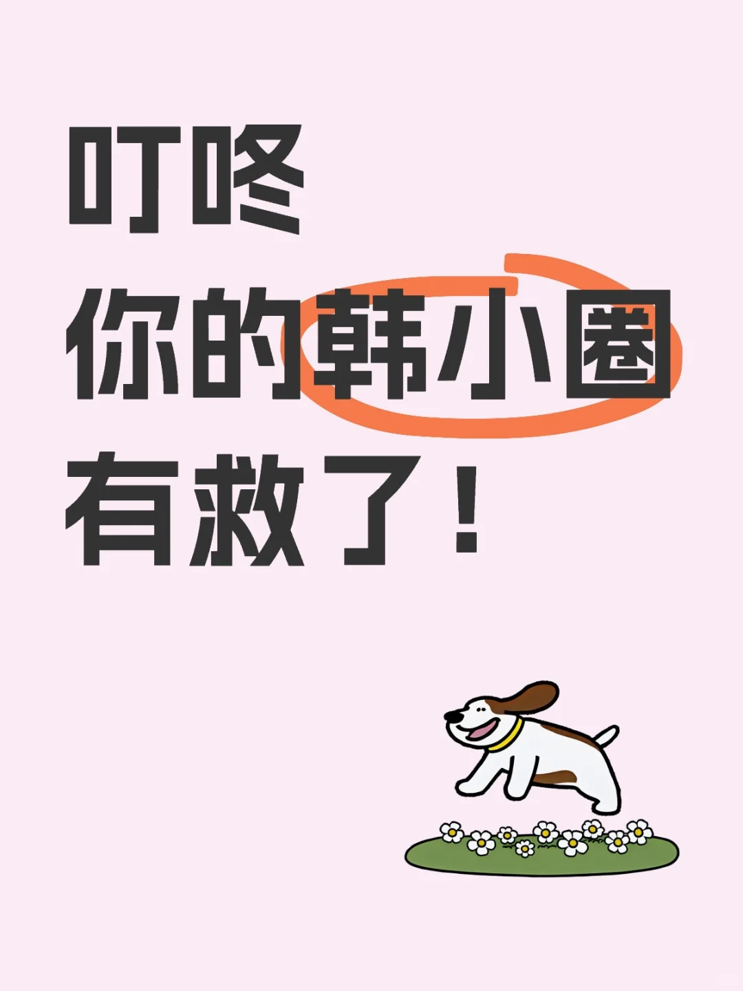 韩小圈下载不了的友友速看