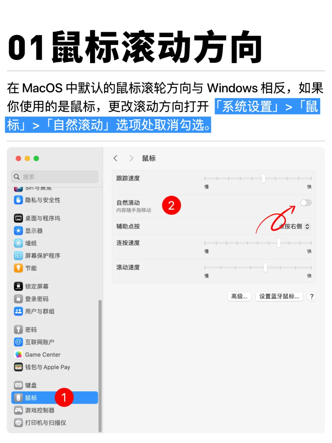 Windows 转 Macos 你必须知道的设置和软件