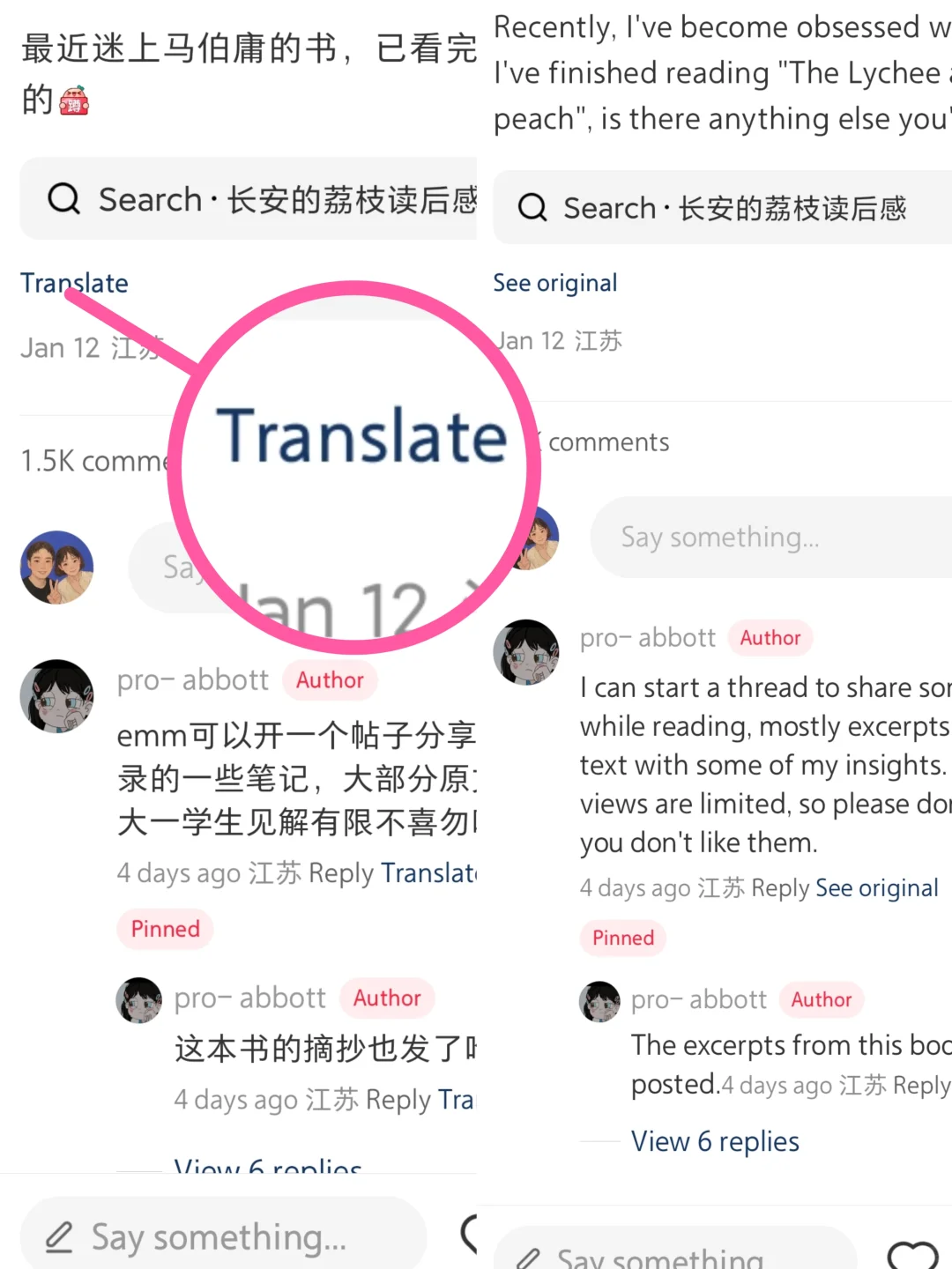 Rednote app Support for translation!