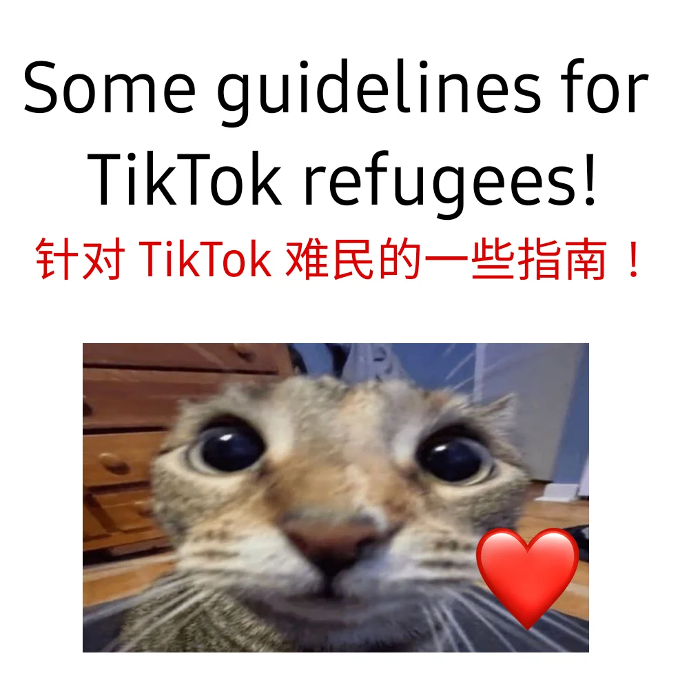 for tiktok refugees and anime fans!