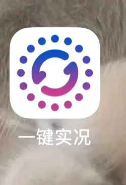 ios宝藏软件