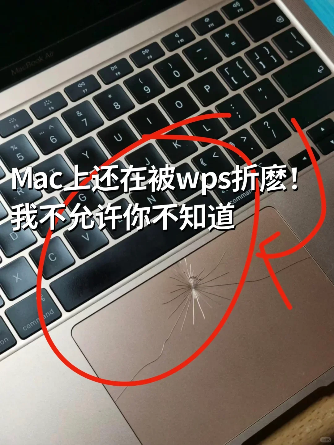 MAC上这个实在比WPS好用太多啦！