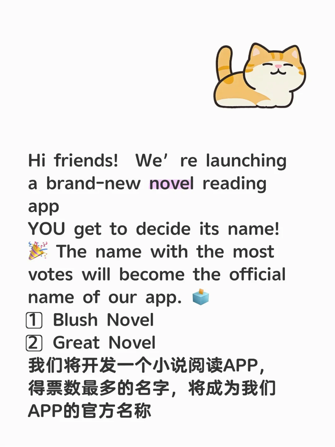 🌟 Help Us Name Our App! 🌟