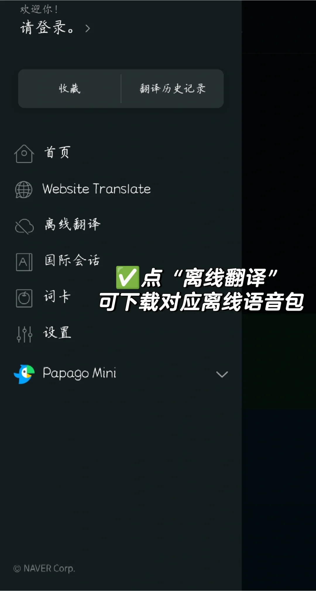 papago韩语翻译软件下载，保姆级教程