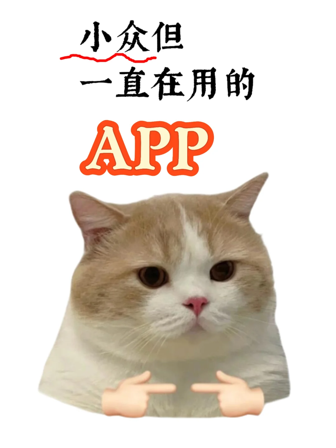 急需小众但超实用的APP，谁来拯救我