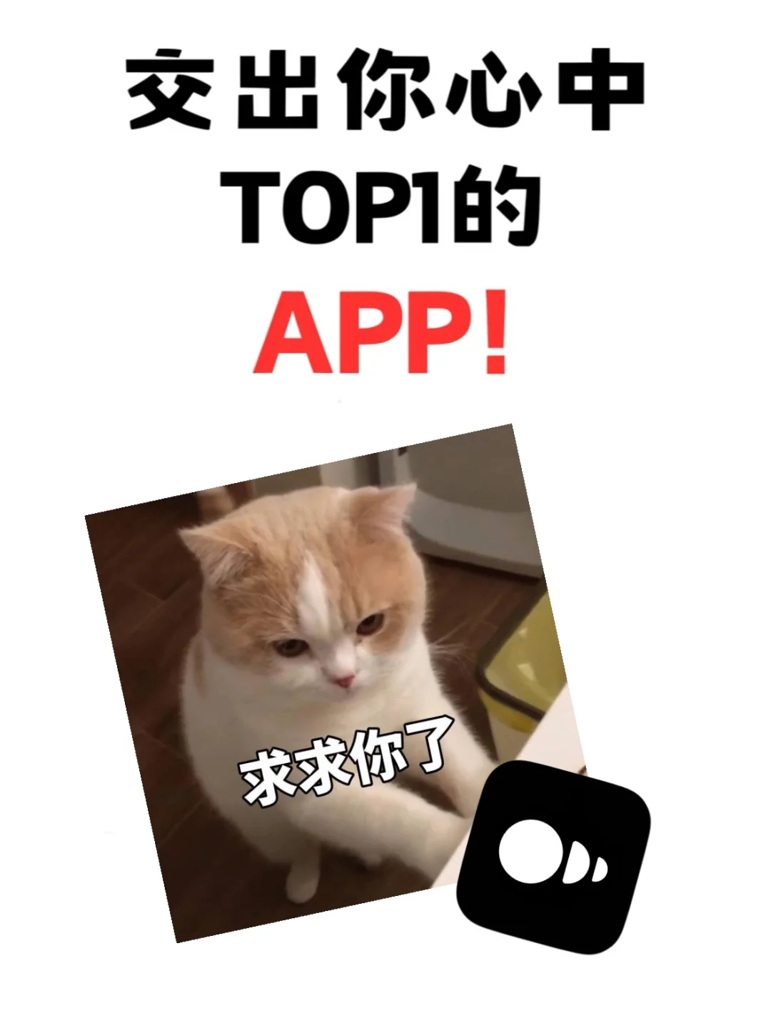 交出你心中 Top1 的 APP！