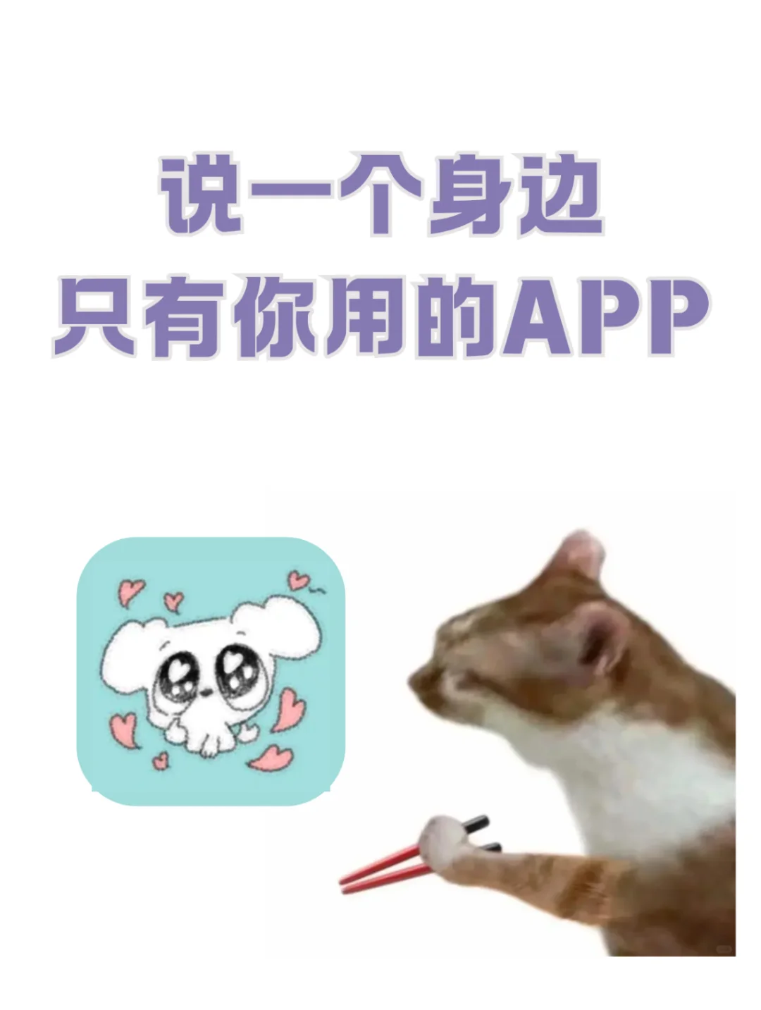 有没有身边只有你用的小众APP？