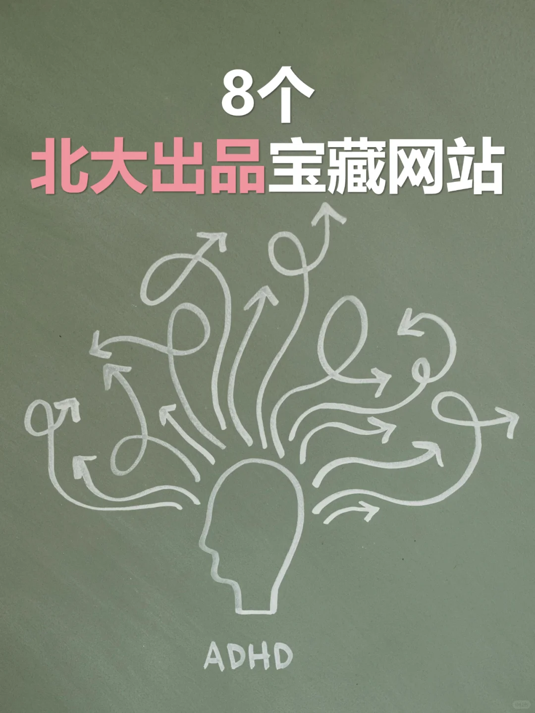 8个北大出品的宝藏网站，超级实用