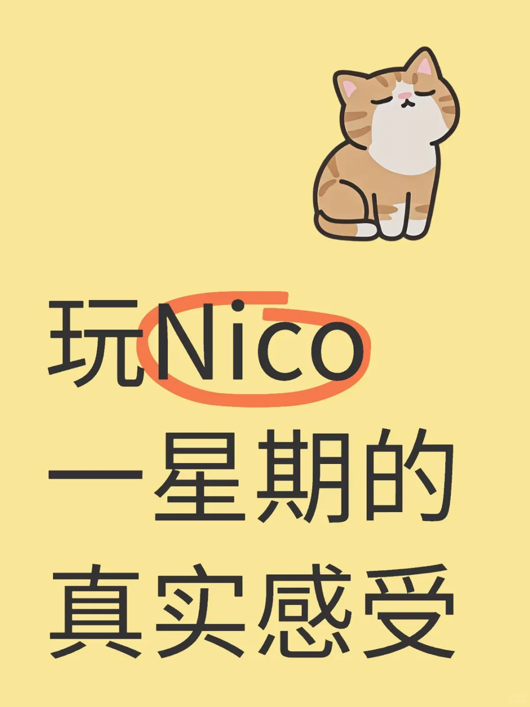 宝子们，分享下我玩nico的真实体验！