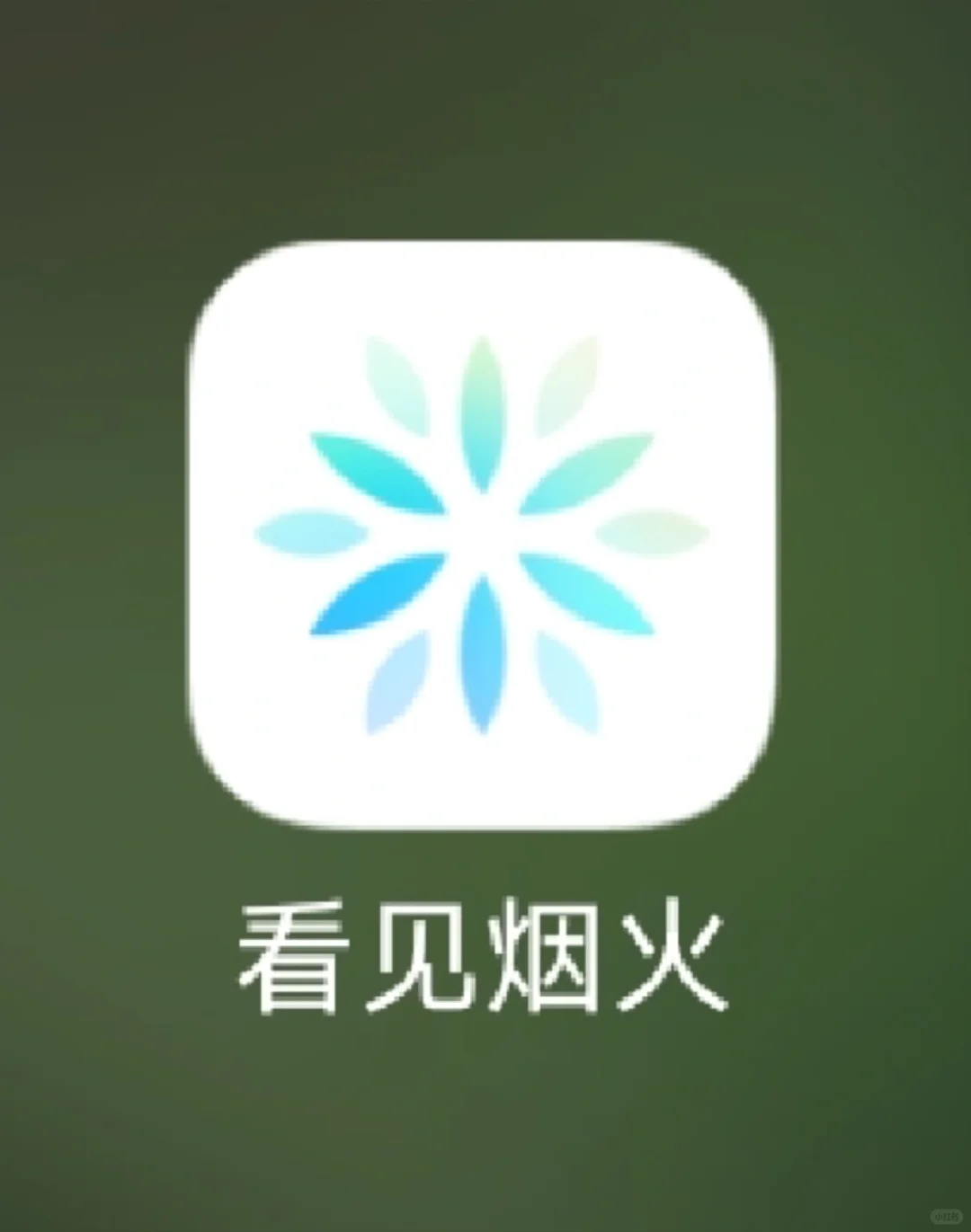 小众社交，交友APP，看见烟火，测评。