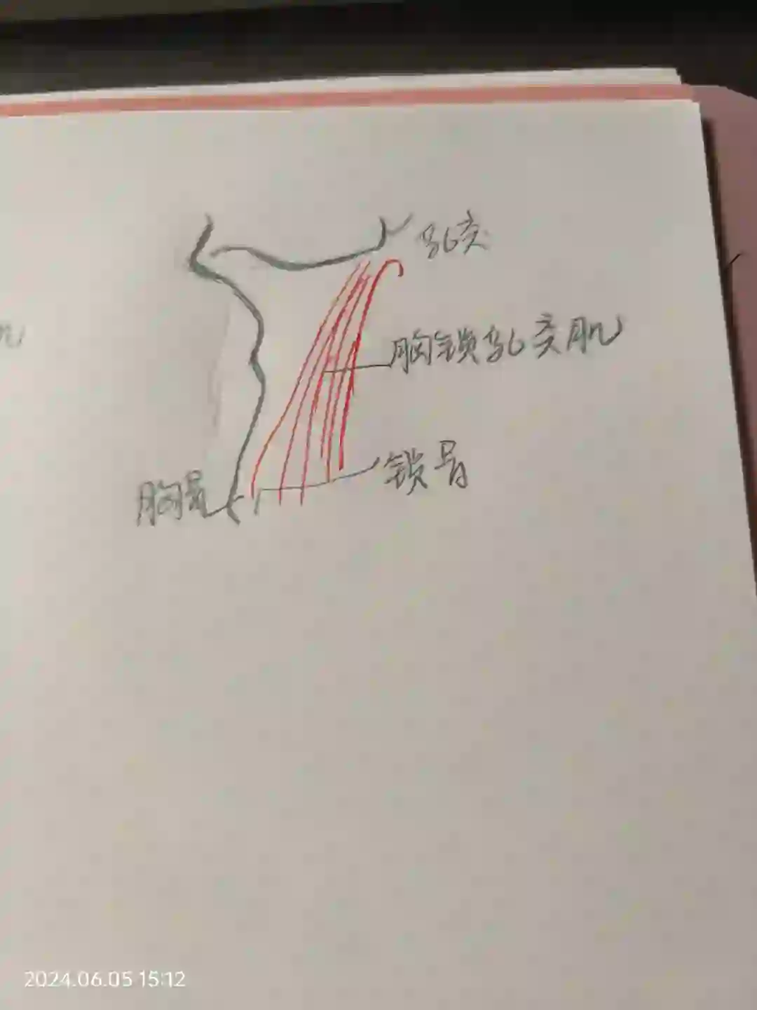 我大抵是疯魔了