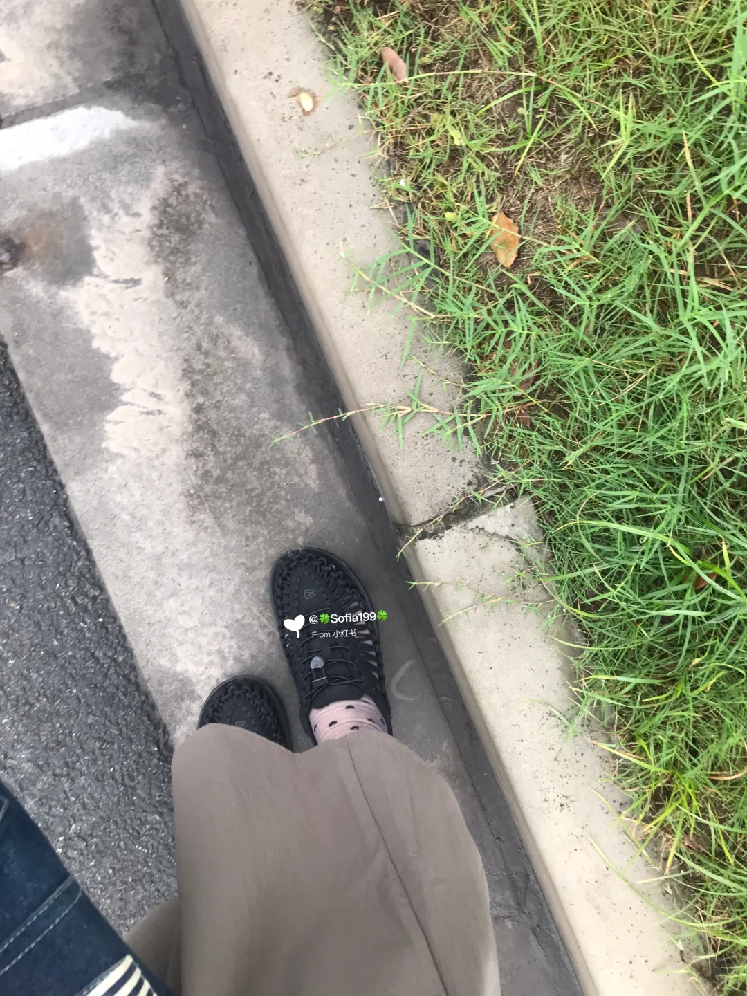Keen轻便又好穿，靴下屋玻璃丝袜，超级百搭