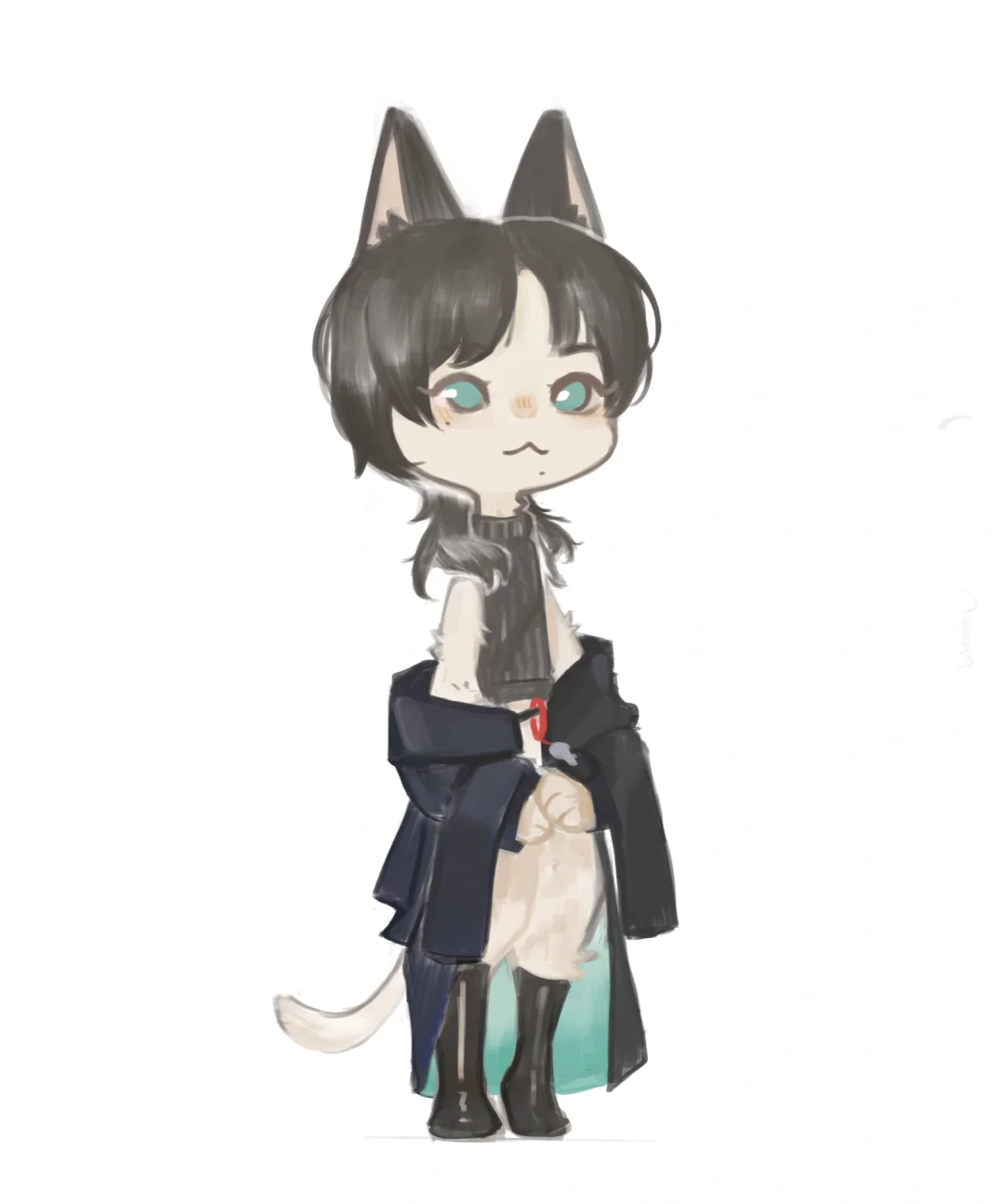每日一猫