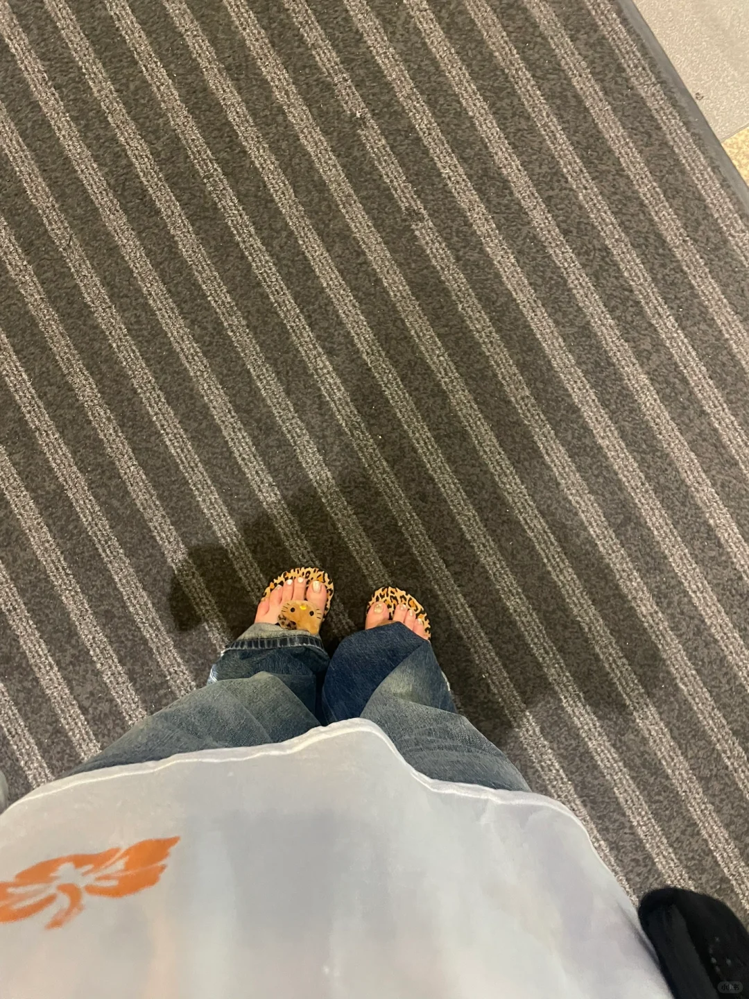 🐆豹纹