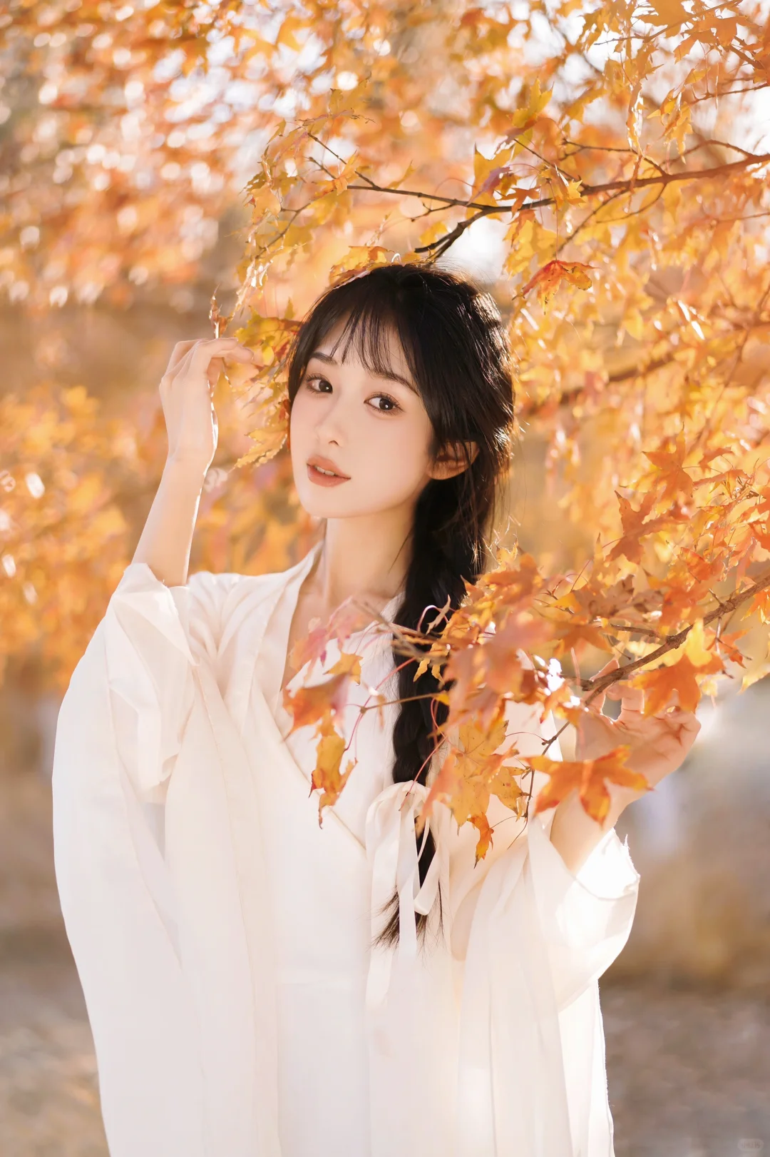 北京约拍｜奥森的枫叶太美啦🍁