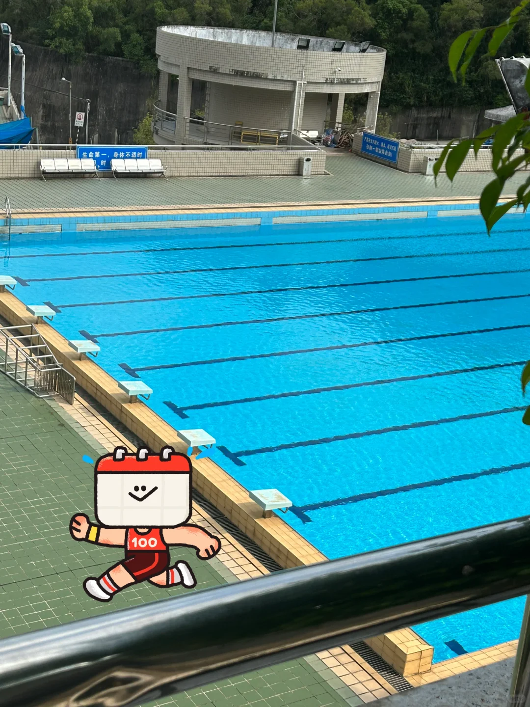 天热了，游个泳吧🏊