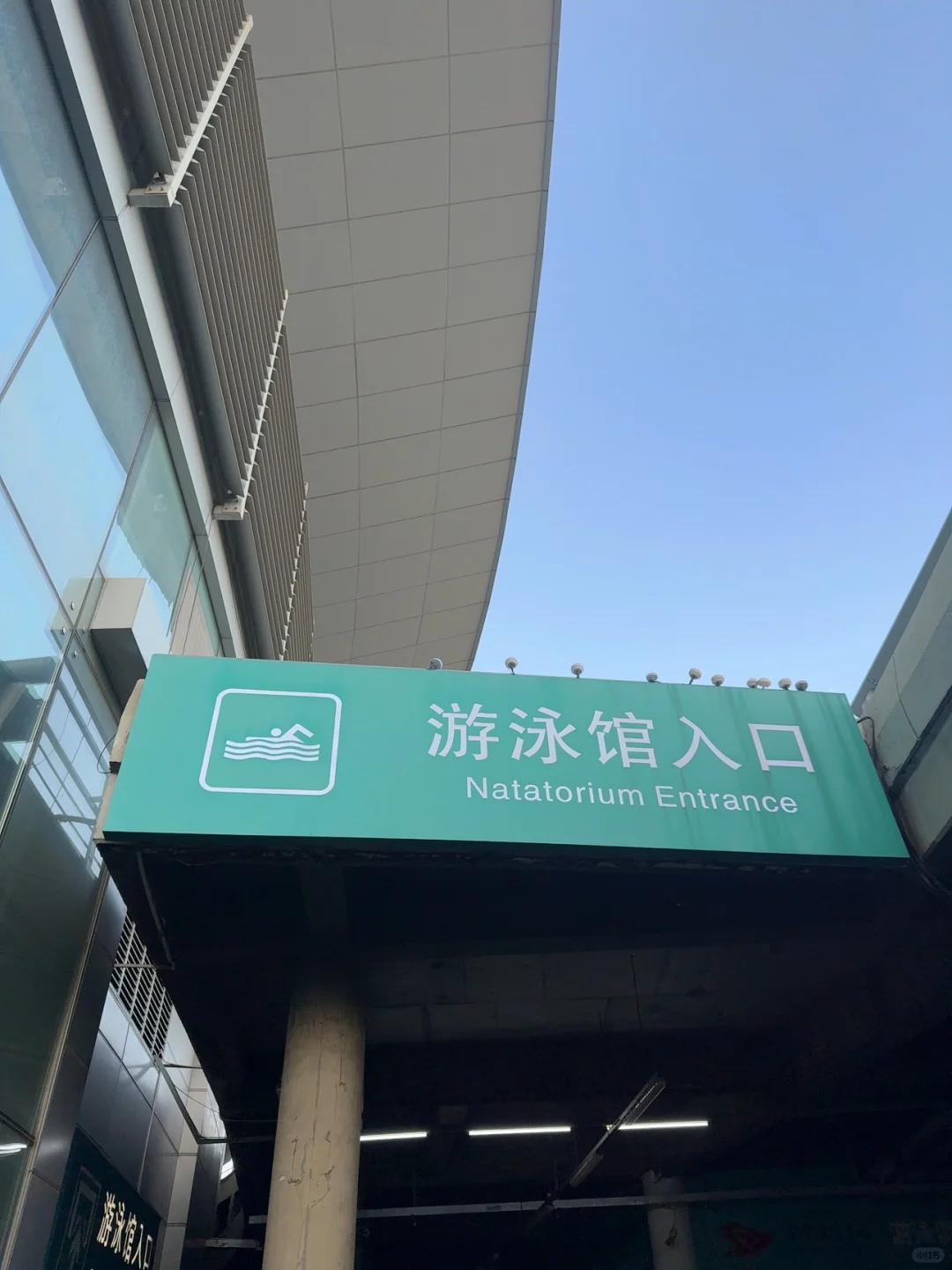 求奥体游泳馆，自由泳女教练